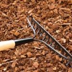 mulch